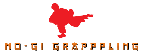 No-Gi Grapppling 