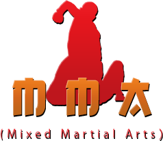 Mixed Martial Arts